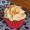 Carrot cupcake boven